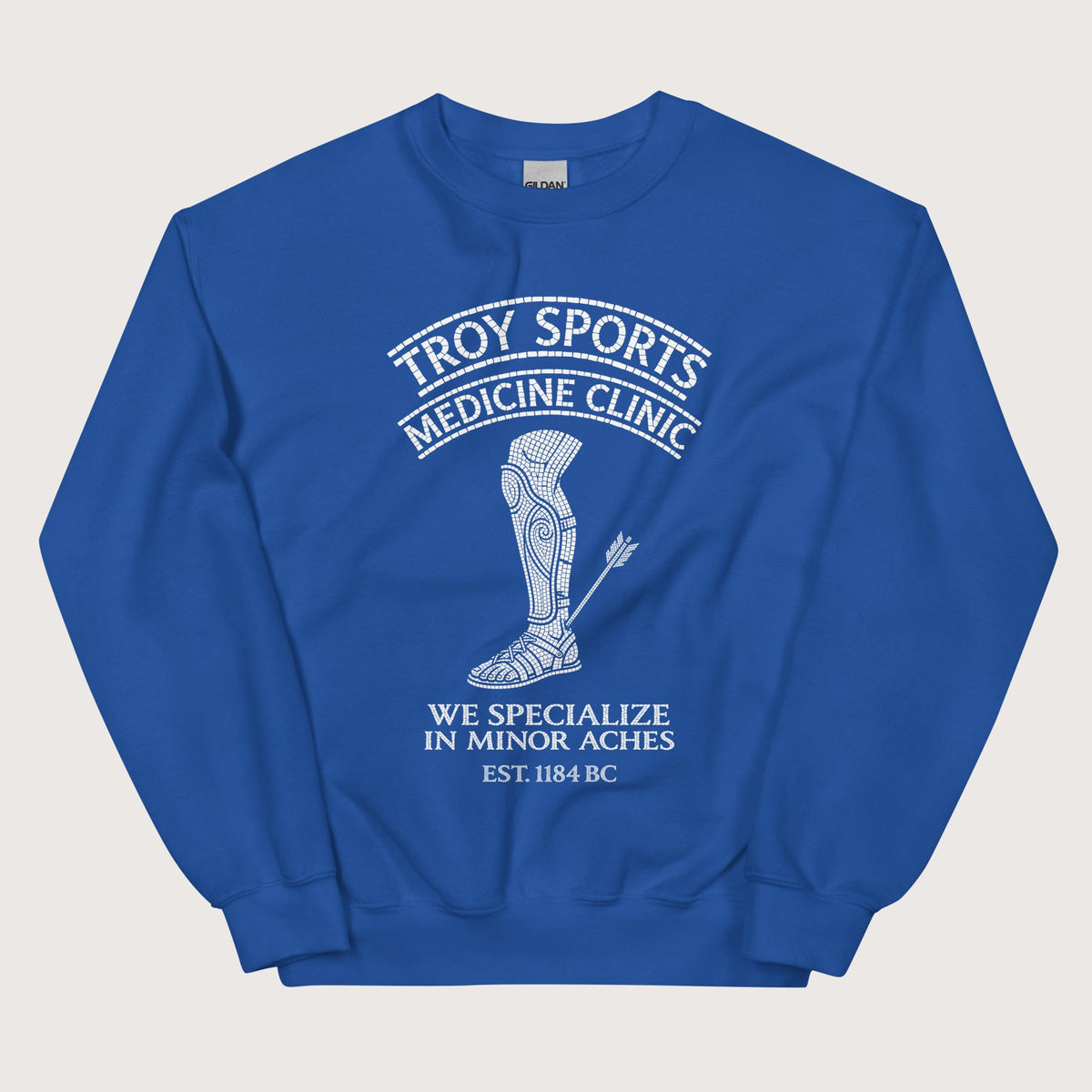 Royal Troy Sports Medicine Clinic Sweatshirt - history buff gift by HistoHead