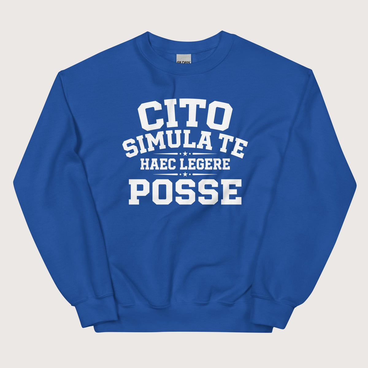 Royal Latin Quick Pretend You Can Read This Sweatshirt - history buff gift by HistoHead