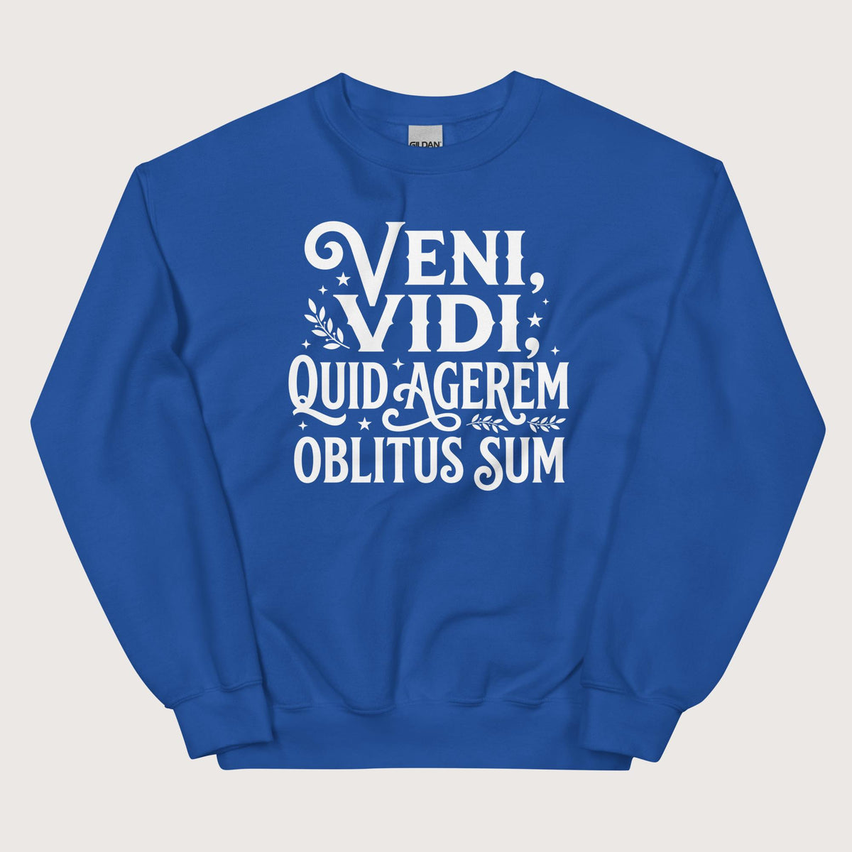 Royal Latin I Came I Saw I Forgot I Was Doing Sweatshirt - history buff gift by HistoHead