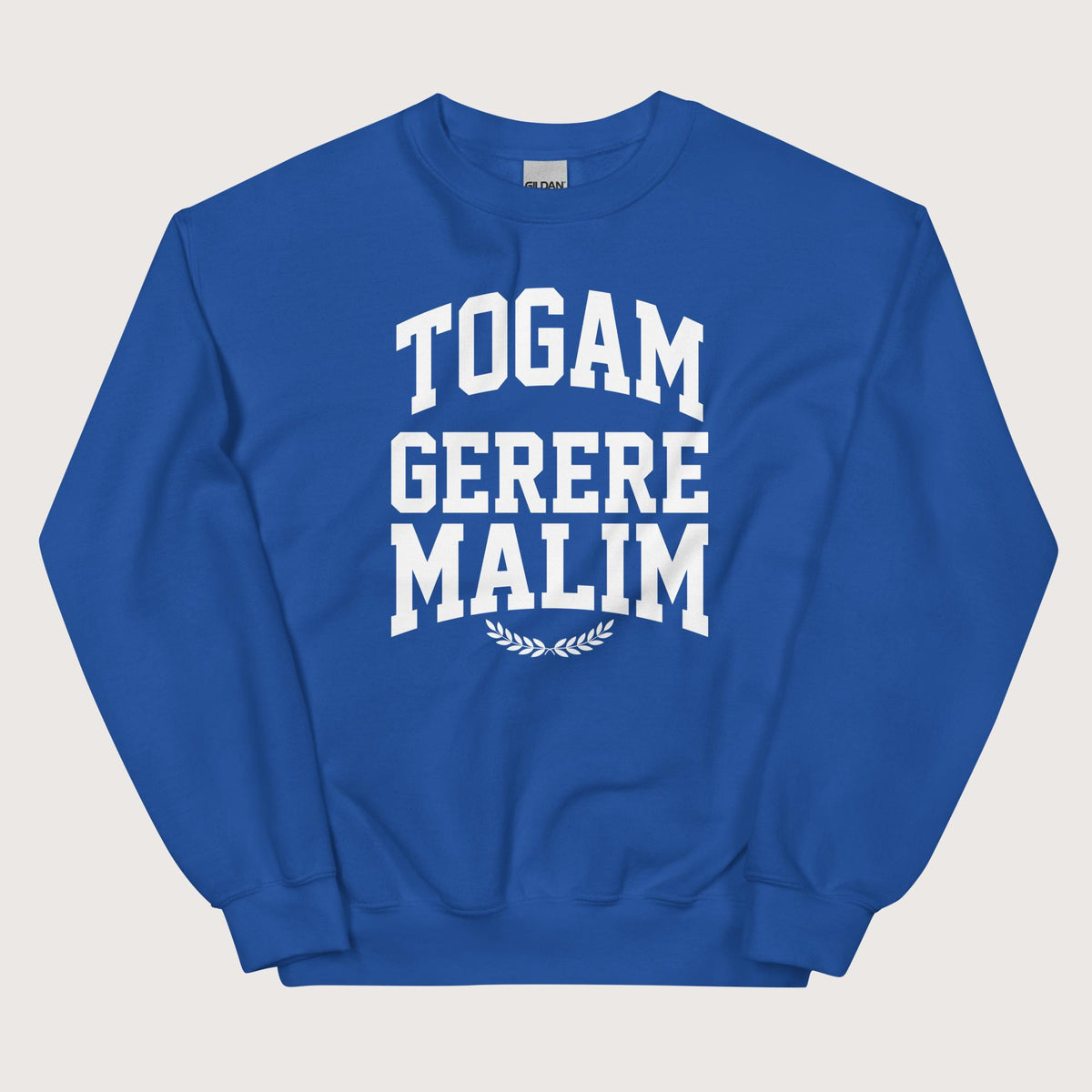 Royal Latin I'd Rather Be Wearing A Toga Sweatshirt - history buff gift by HistoHead