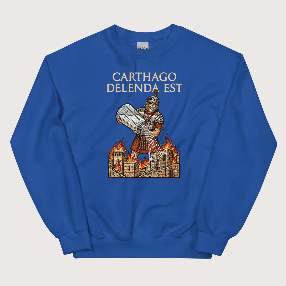 Royal Salting Carthage Sweatshirt - history buff gift by HistoHead