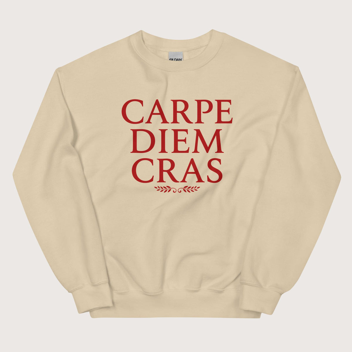 Sand Seize the Day Tomorrow in Latin Sweatshirt - history buff gift by HistoHead