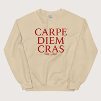 Sand Seize the Day Tomorrow in Latin Sweatshirt - history buff gift by HistoHead