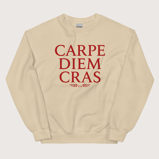 Sand Seize the Day Tomorrow in Latin Sweatshirt - history buff gift by HistoHead