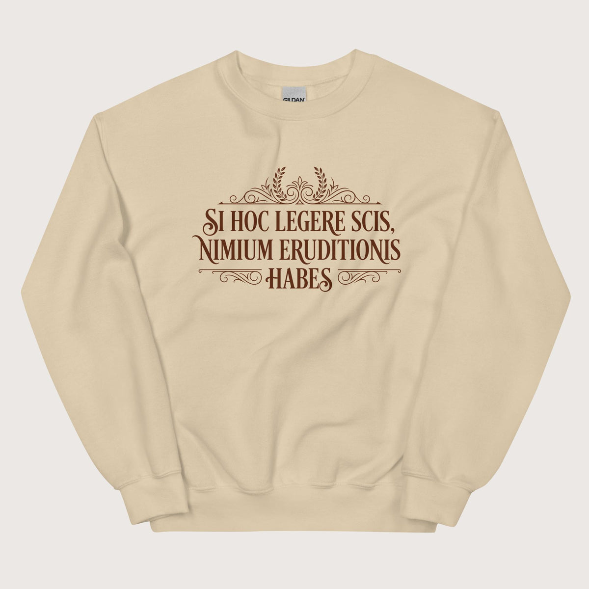 Sand If You Can Read This You Have Too Much Education in Latin Sweatshirt - history buff gift by HistoHead