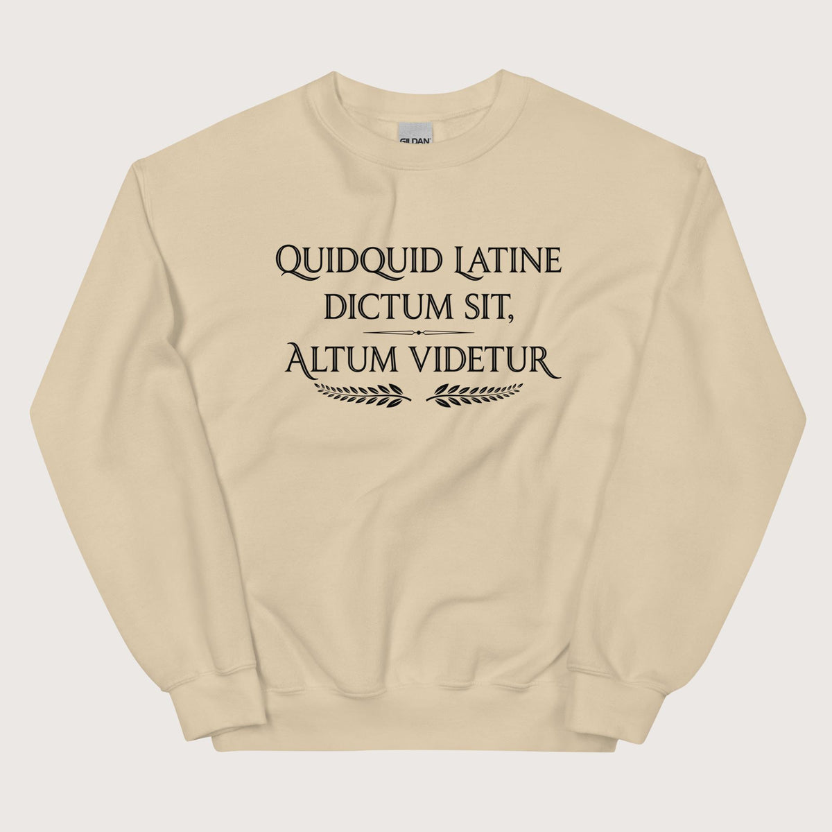 Sand Whatever Is Said in Latin Seems Deep Sweatshirt - history buff gift by HistoHead