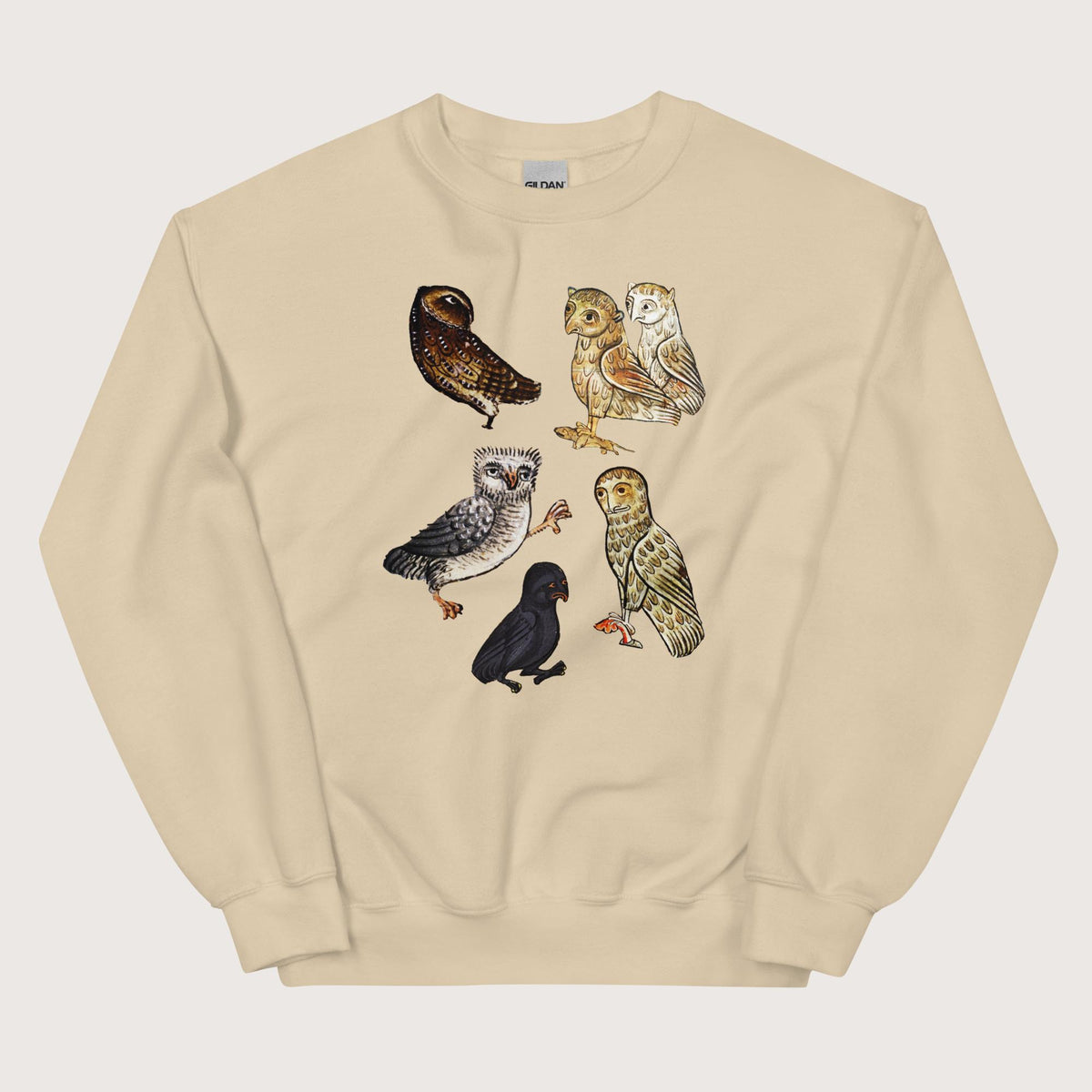 Sand Weird Medieval Owls Sweatshirt - history buff gift by HistoHead
