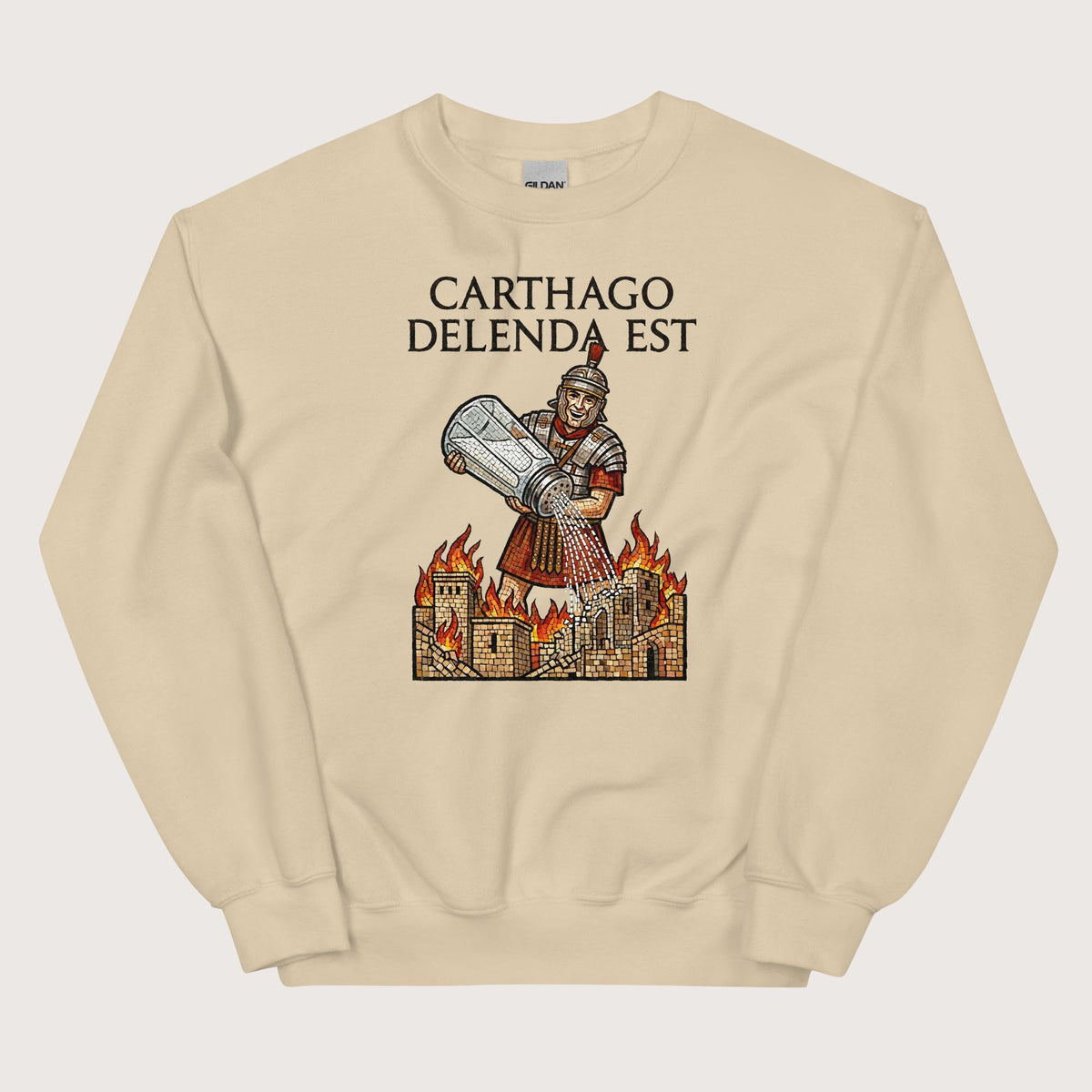 Sand Salting Carthage Sweatshirt - history buff gift by HistoHead