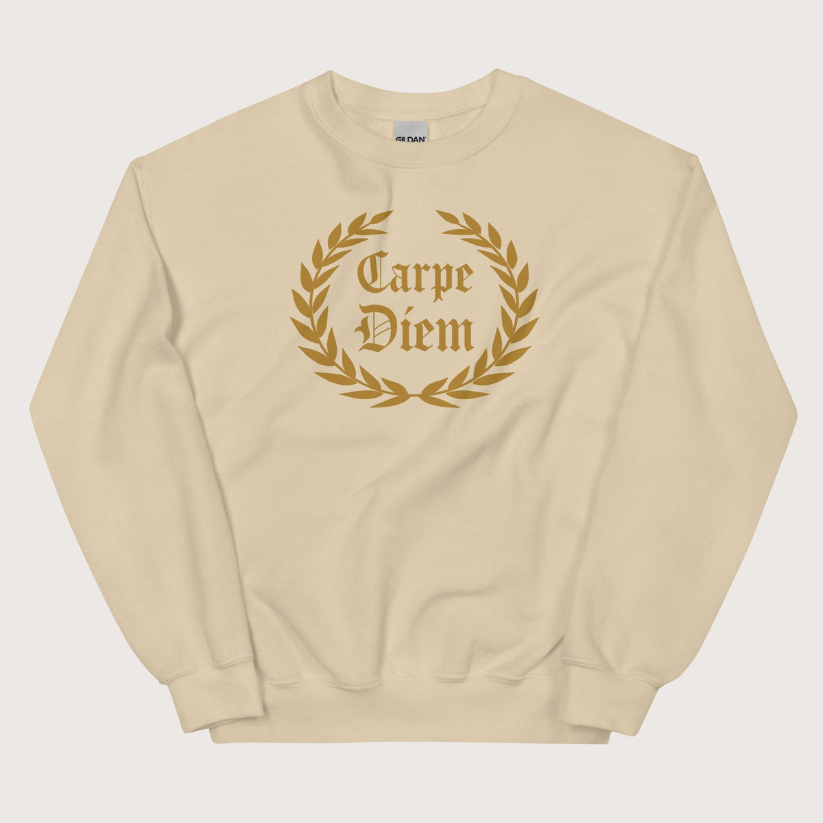 Sand Carpe Diem Sweatshirt - history buff gift by HistoHead