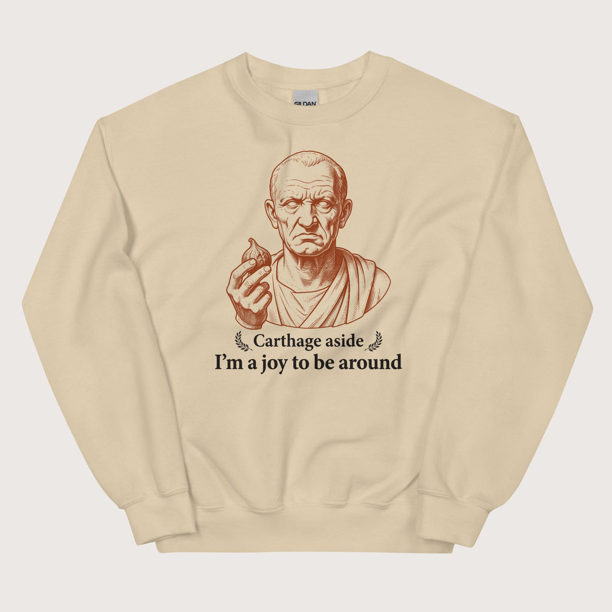 Sand Cato Carthage Aside I'm a Joy to Be Around Sweatshirt - history buff gift by HistoHead