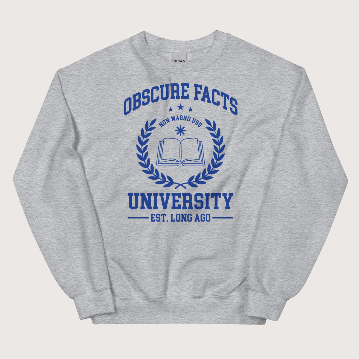 Sport Grey Obscure Facts University - Sweatshirt - history buff gift by HistoHead