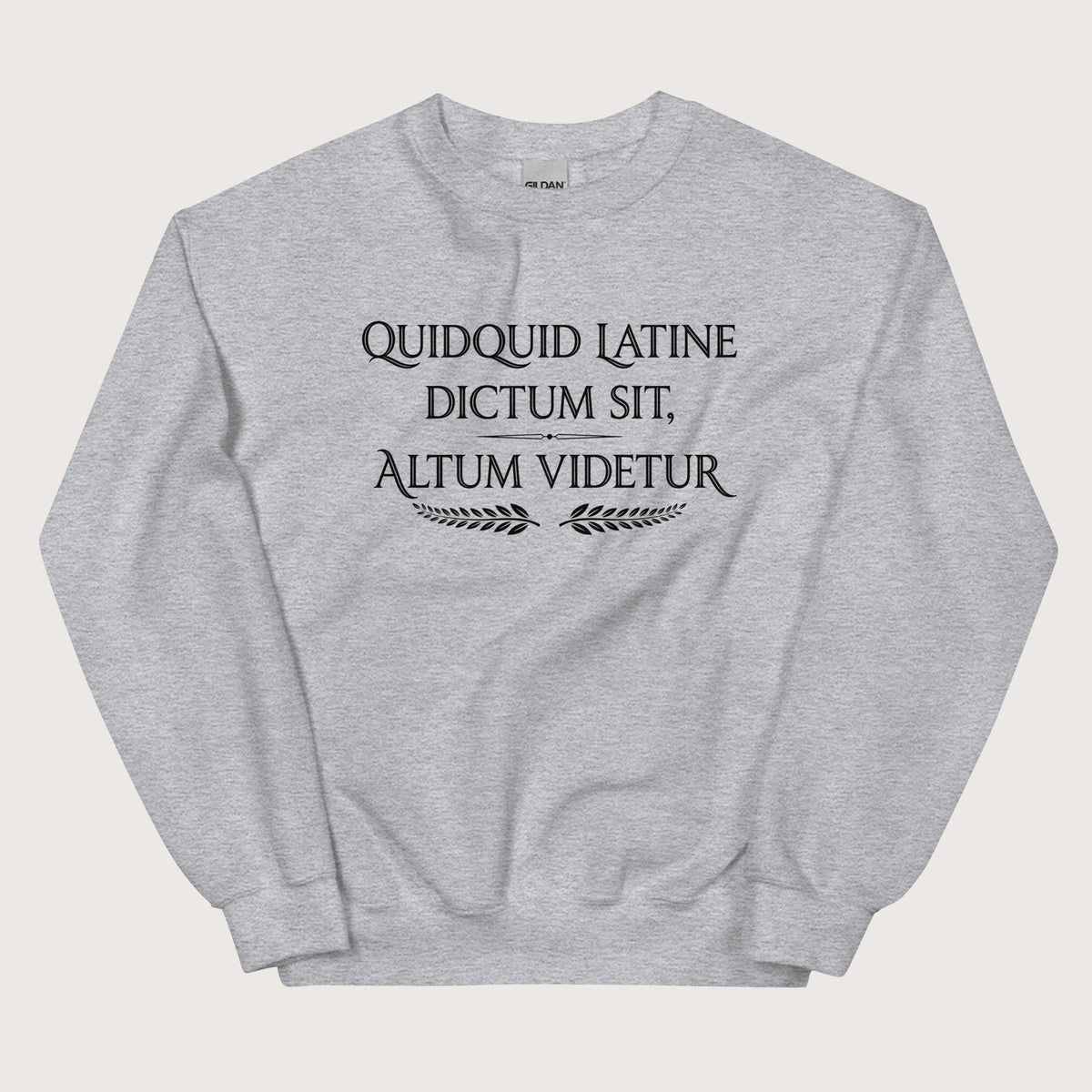 Sport Grey Whatever Is Said in Latin Seems Deep Sweatshirt - history buff gift by HistoHead