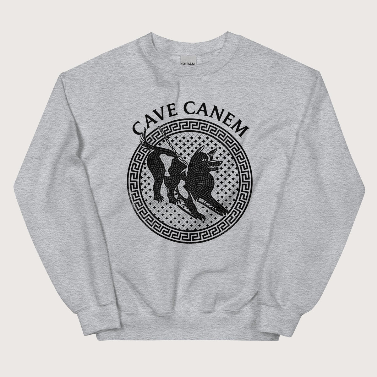 Sport Grey Cave Canem Sweatshirt - history buff gift by HistoHead