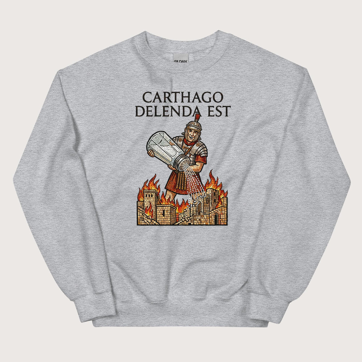 Sport Grey Salting Carthage Sweatshirt - history buff gift by HistoHead