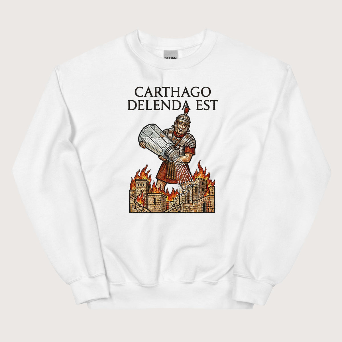 White Salting Carthage Sweatshirt - history buff gift by HistoHead