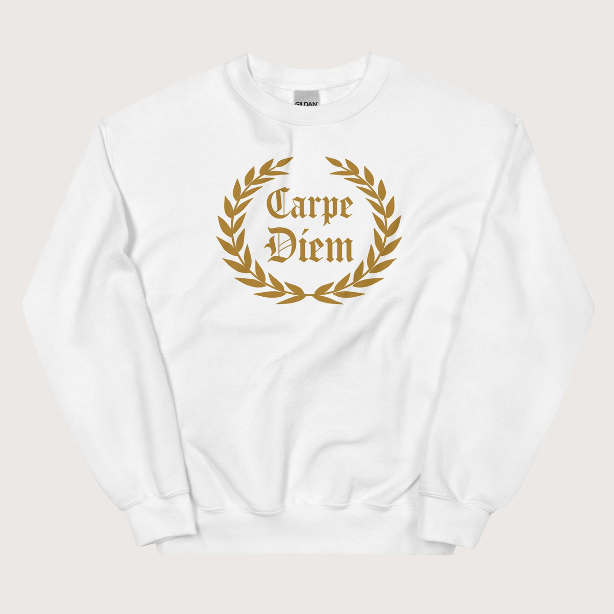 White Carpe Diem Sweatshirt - history buff gift by HistoHead