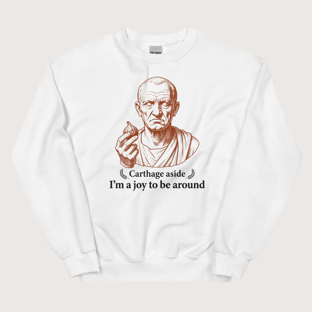 White Cato Carthage Aside I'm a Joy to Be Around Sweatshirt - history buff gift by HistoHead