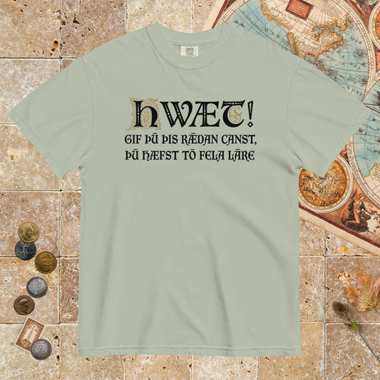Bay If You Can Read This You Have Too Much Education in Old English - Premium Tee - history buff gift by HistoHead