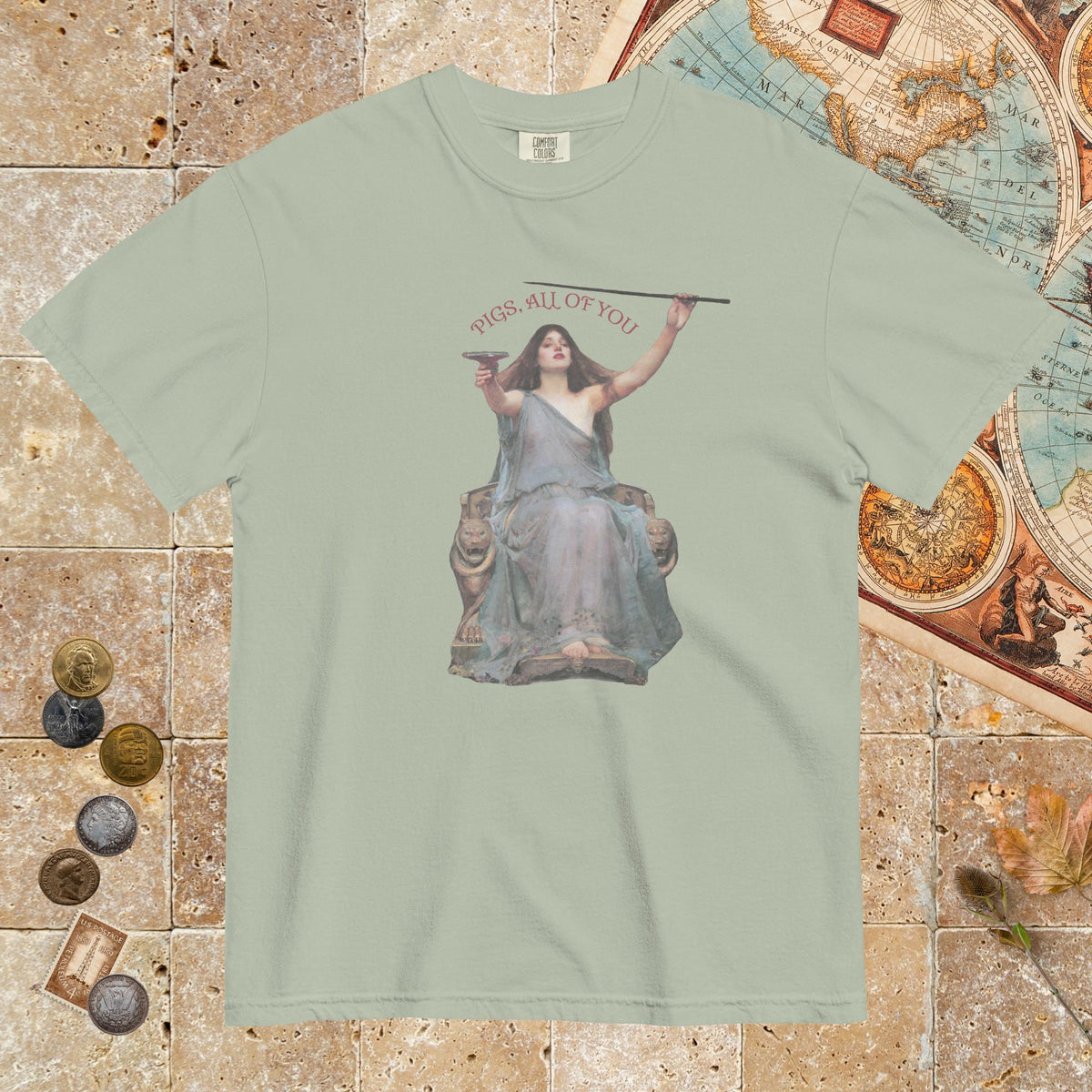 Bay Circe Pigs All of You - Premium Tee - history buff gift by HistoHead
