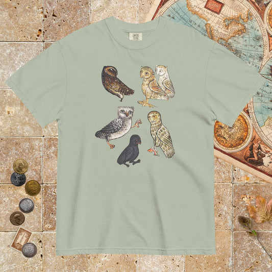 Bay Weird Medieval Owls - Premium Tee - history buff gift by HistoHead