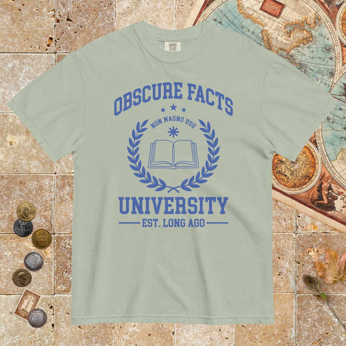 Bay Obscure Facts University - Premium Tee - history buff gift by HistoHead