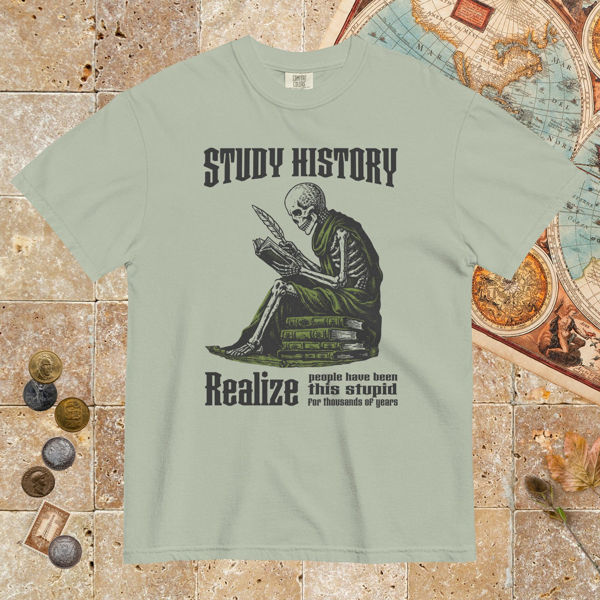 Bay Study History - Premium Tee - history buff gift by HistoHead