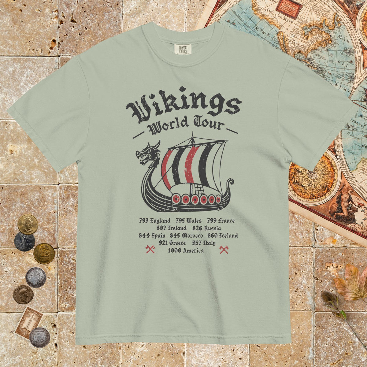Bay Vikings World Tour - Premium Tee - history buff gift by HistoHead