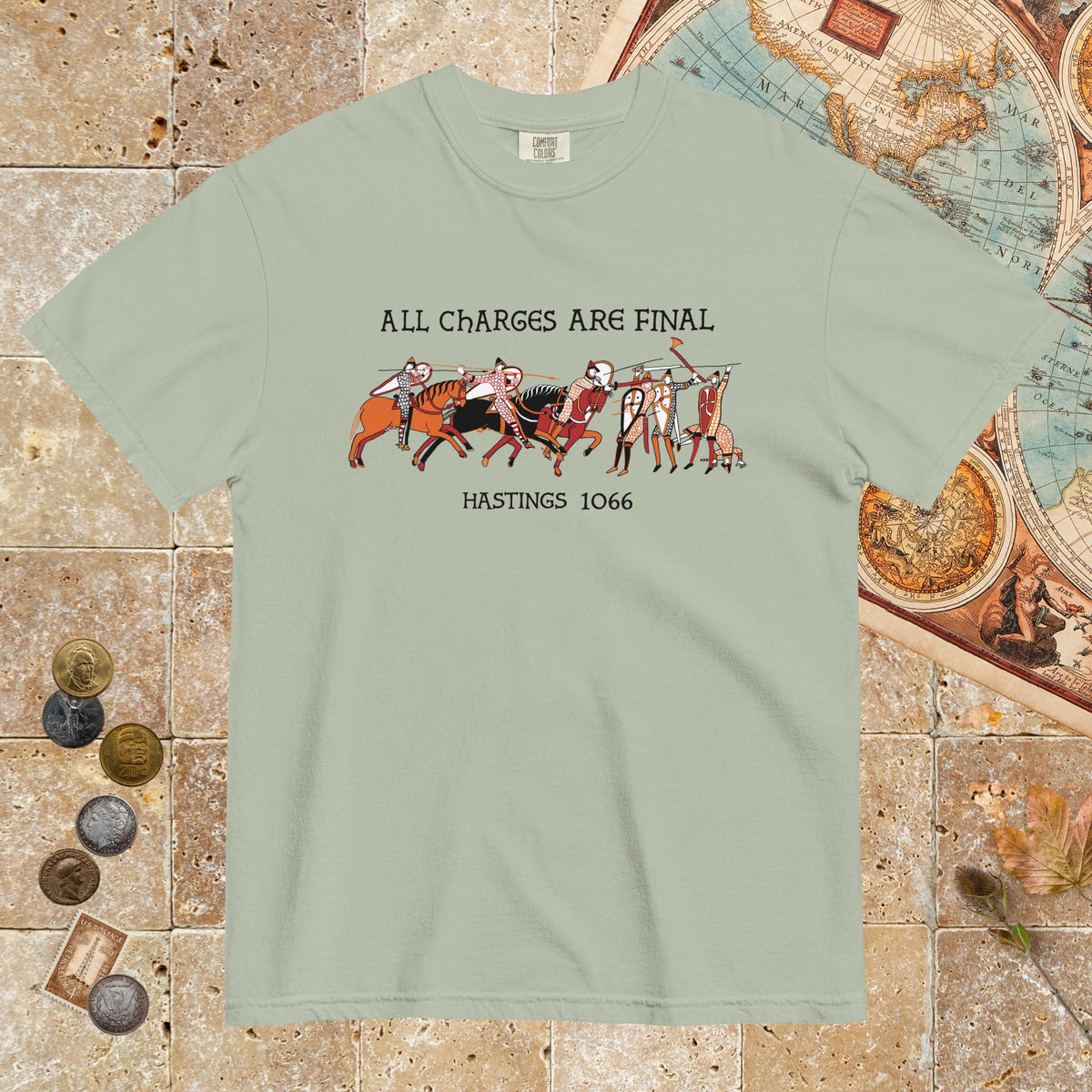 Bay Bayeux Tapestry All Charges Are Final - Premium Tee - history buff gift by HistoHead