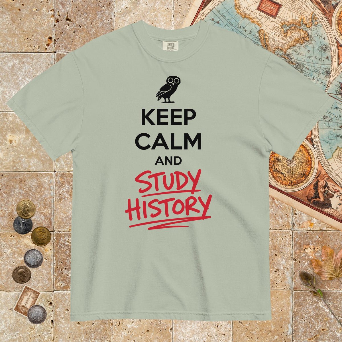 Bay Keep Calm and Study History - Premium Tee - history buff gift by HistoHead