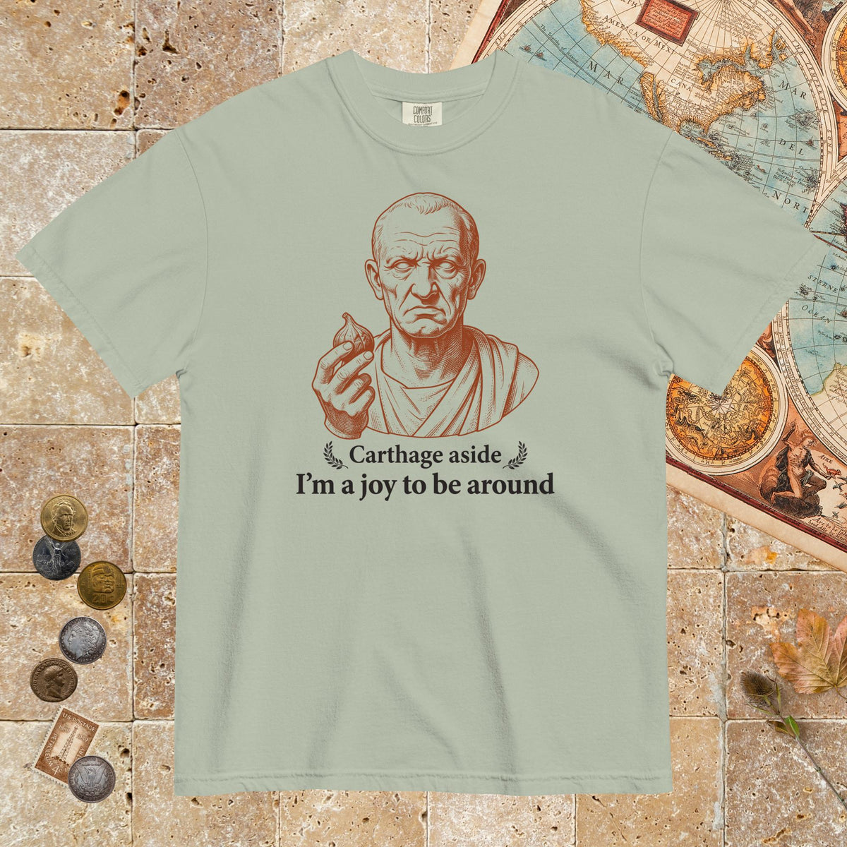 Bay Cato Carthage Aside I'm a Joy to Be Around - Premium Tee - history buff gift by HistoHead