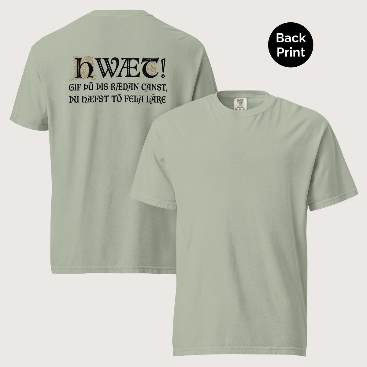Bay If You Can Read This You Have Too Much Education in Old English - Premium Tee - Back Print - history buff gift by HistoHead