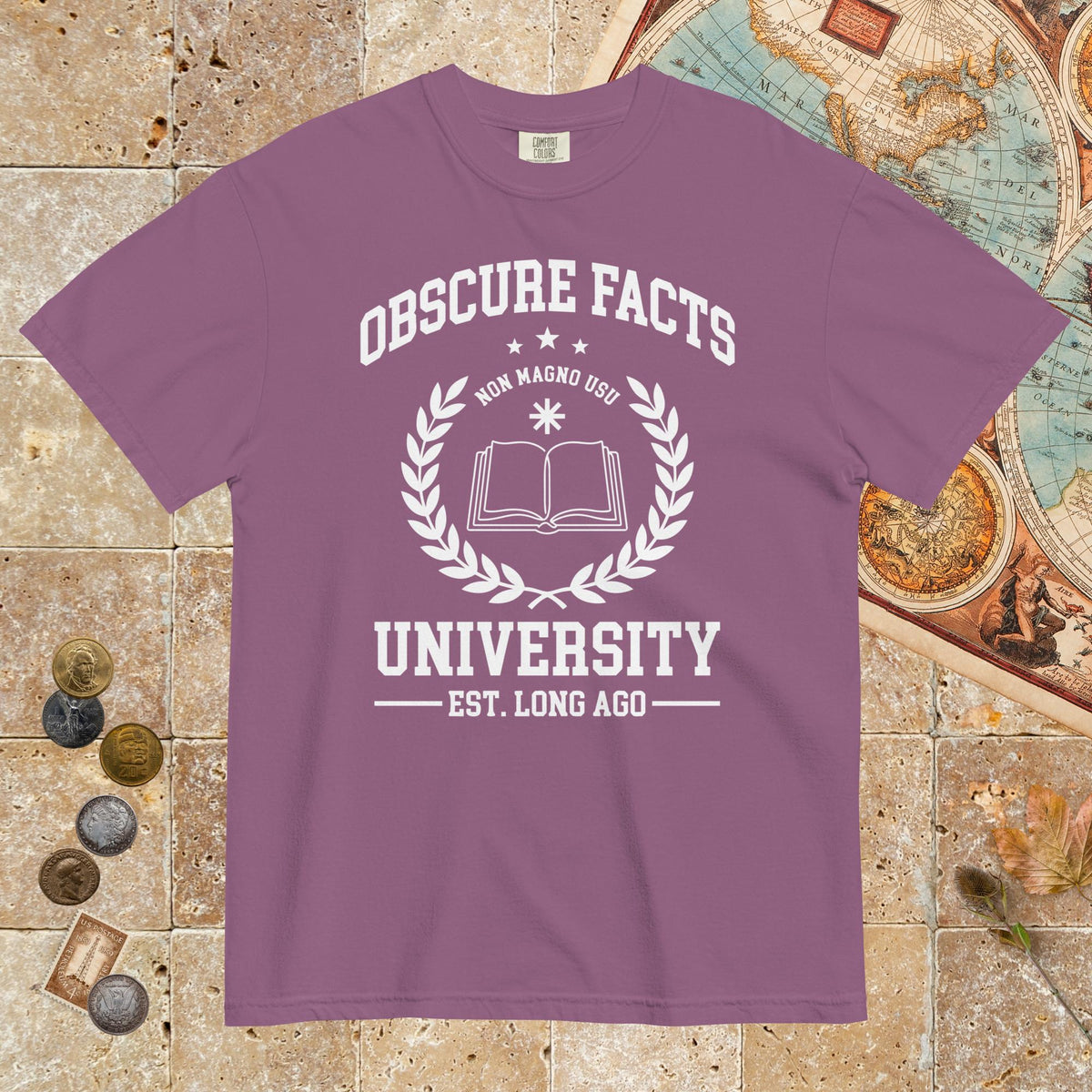 Berry Obscure Facts University - Premium Tee - history buff gift by HistoHead