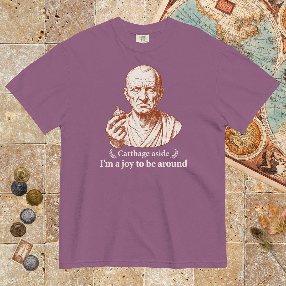 Berry Cato Carthage Aside I'm a Joy to Be Around - Premium Tee - history buff gift by HistoHead