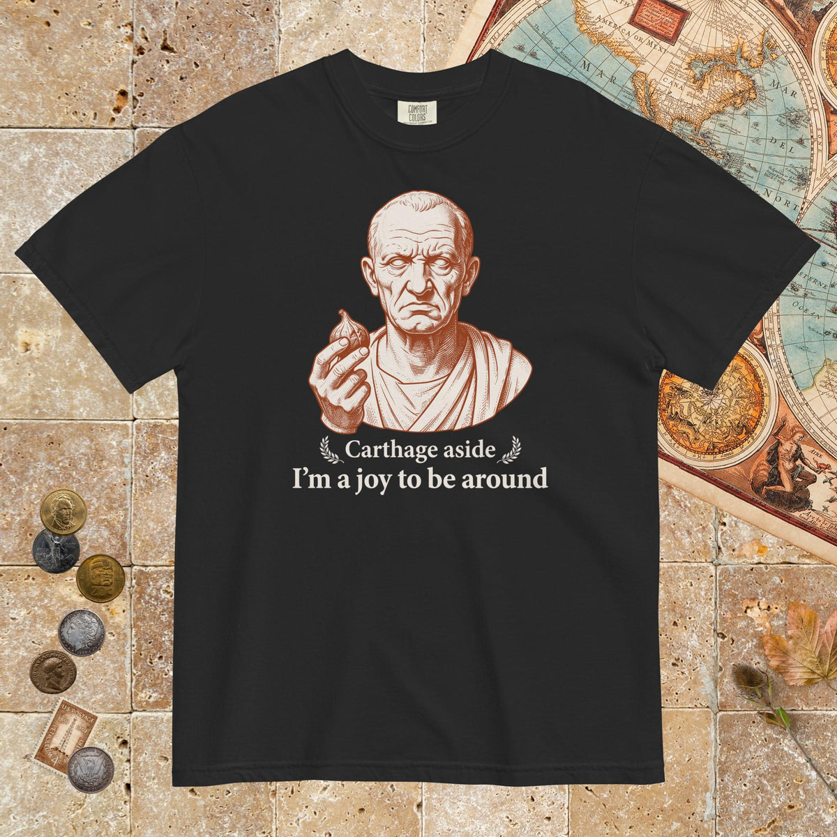 Black Cato Carthage Aside I'm a Joy to Be Around - Premium Tee - history buff gift by HistoHead