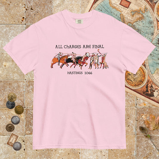 Blossom Bayeux Tapestry All Charges Are Final - Premium Tee - history buff gift by HistoHead