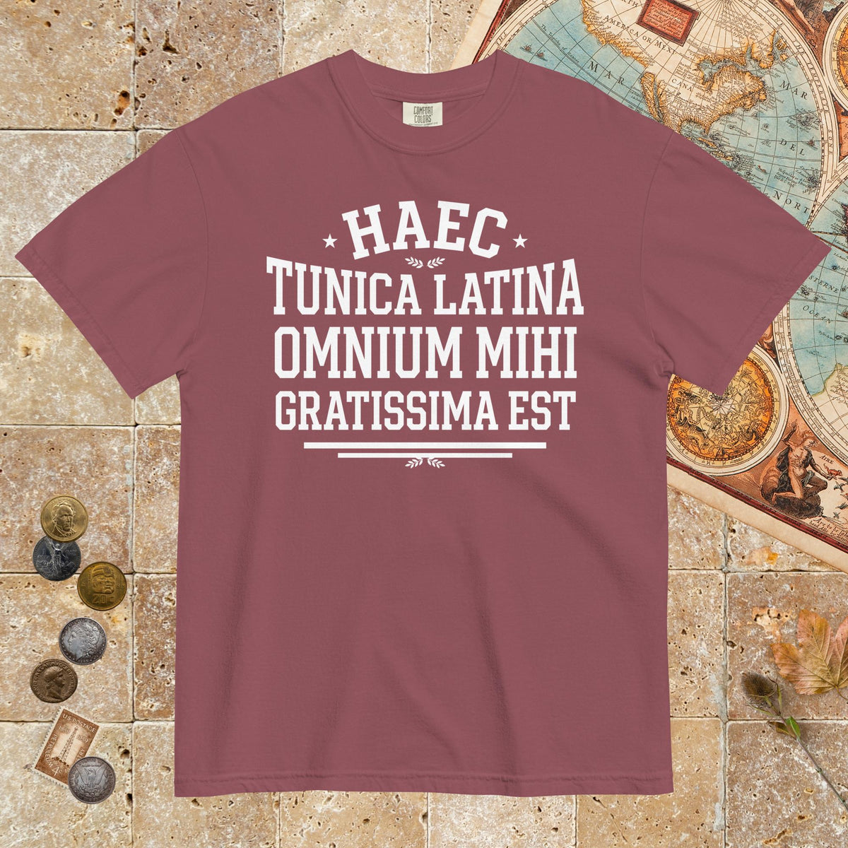Brick This Is My Favorite Latin Shirt - Premium Tee - history buff gift by HistoHead