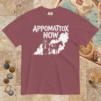 Brick Appomattox Now - Premium Tee - history buff gift by HistoHead