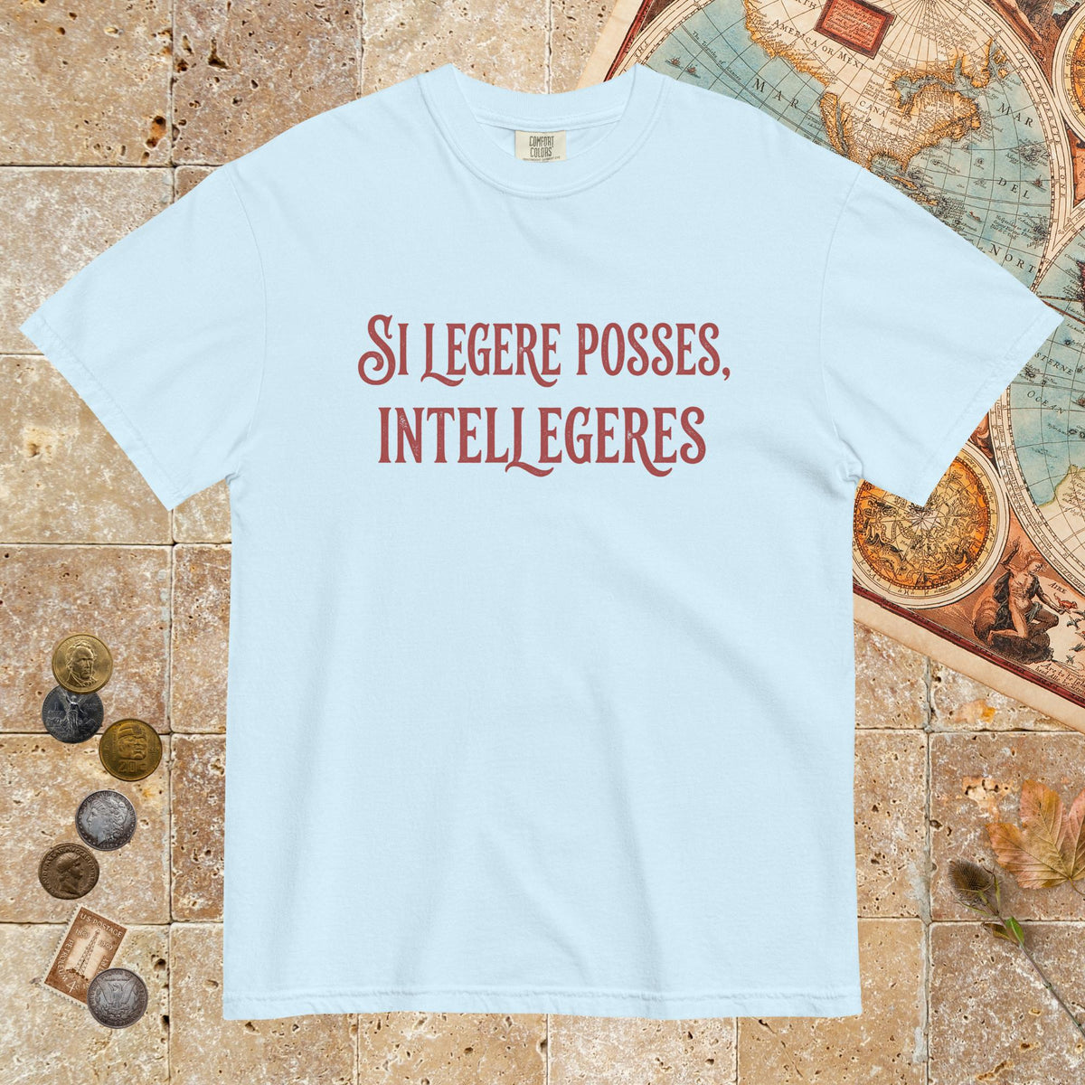 Chambray If You Could Read It You Would Understand in Latin - Premium Tee - history buff gift by HistoHead