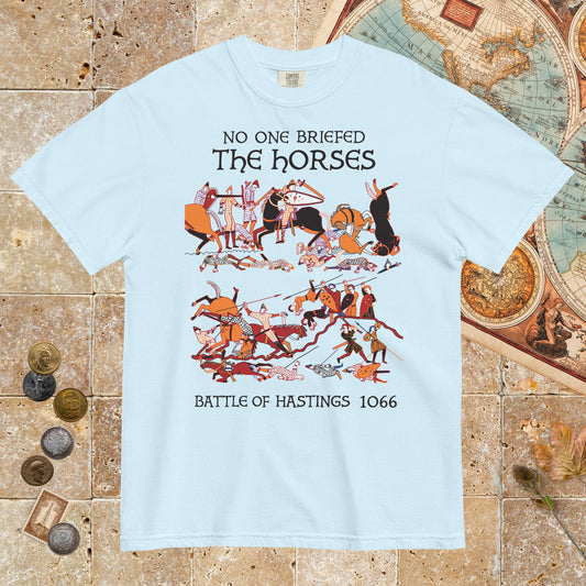 Chambray Bayeux Tapestry No One Briefed the Horses - Premium Tee - history buff gift by HistoHead