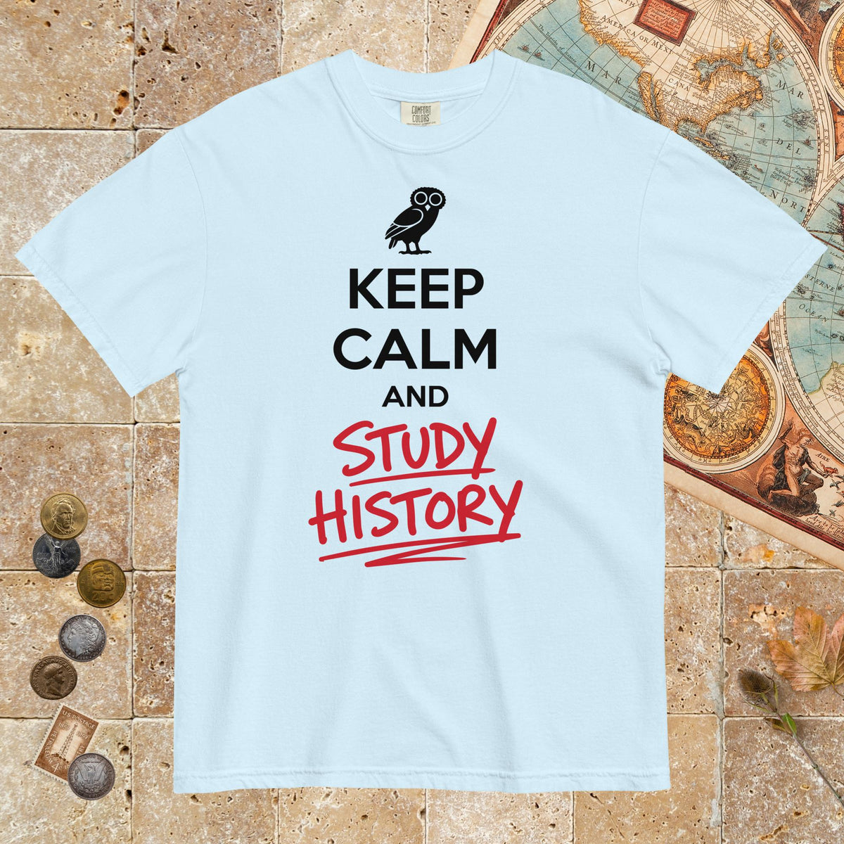Chambray Keep Calm and Study History - Premium Tee - history buff gift by HistoHead
