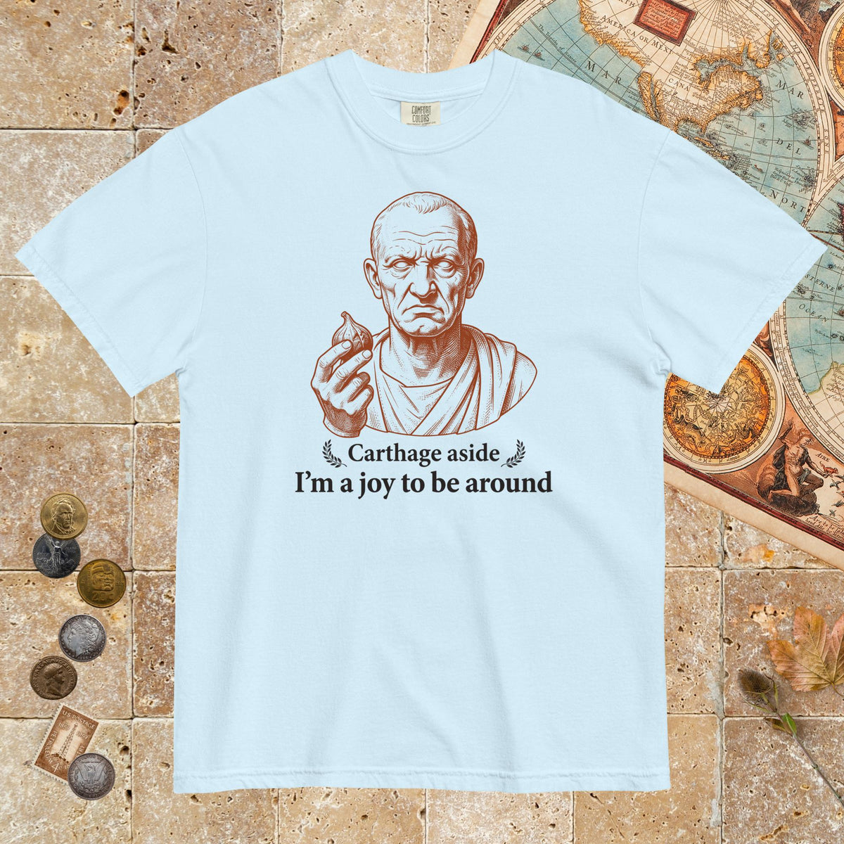 Chambray Cato Carthage Aside I'm a Joy to Be Around - Premium Tee - history buff gift by HistoHead