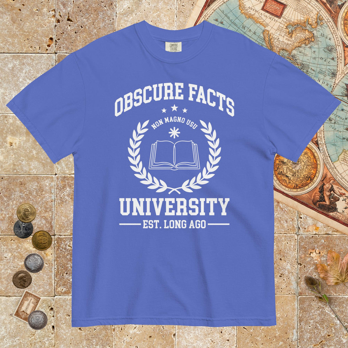 Flo Blue Obscure Facts University - Premium Tee - history buff gift by HistoHead
