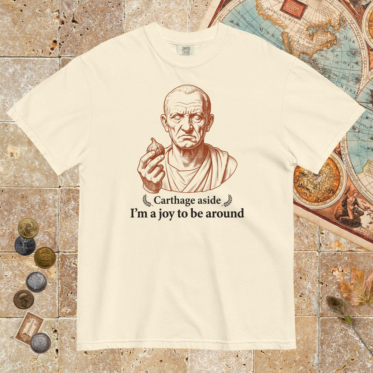 Ivory Cato Carthage Aside I'm a Joy to Be Around - Premium Tee - history buff gift by HistoHead
