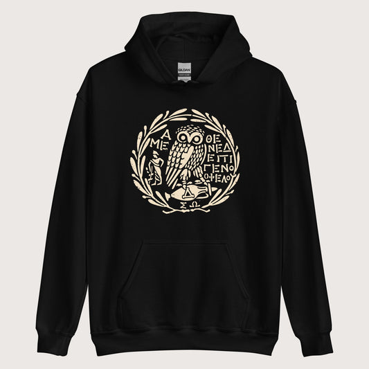 Black Owl of Athena 2 Hoodie - history buff gift by HistoHead