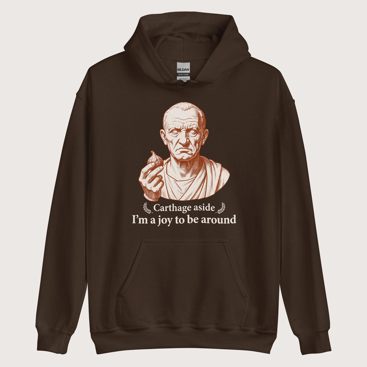 Dark Chocolate Cato Carthage Aside I'm a Joy to Be Around Hoodie - history buff gift by HistoHead