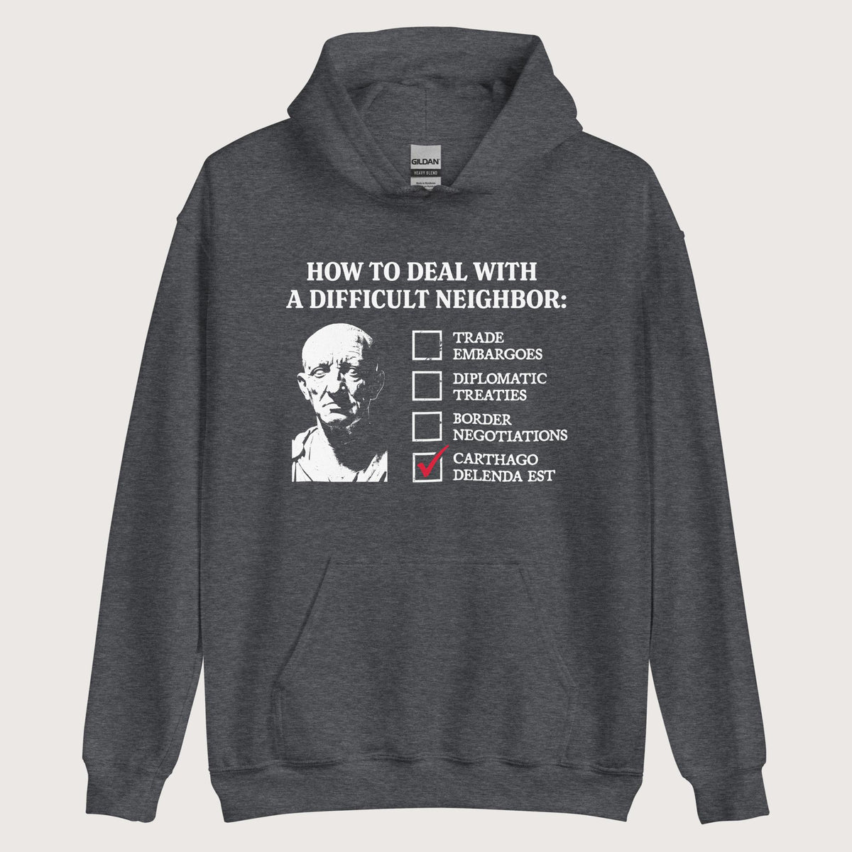 Dark Heather Cato's Foreign Policy Hoodie - history buff gift by HistoHead