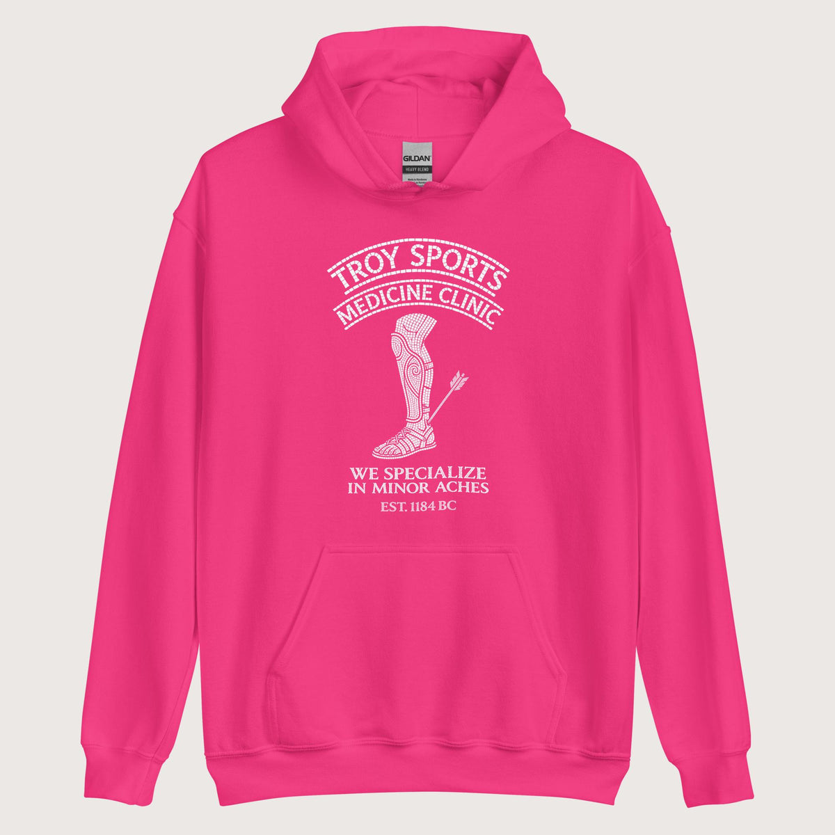 Heliconia Troy Sports Medicine Clinic Hoodie - history buff gift by HistoHead