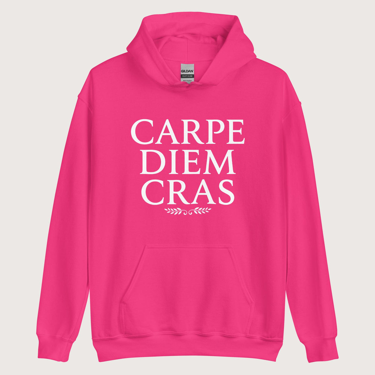 Heliconia Seize the Day Tomorrow in Latin Hoodie - history buff gift by HistoHead