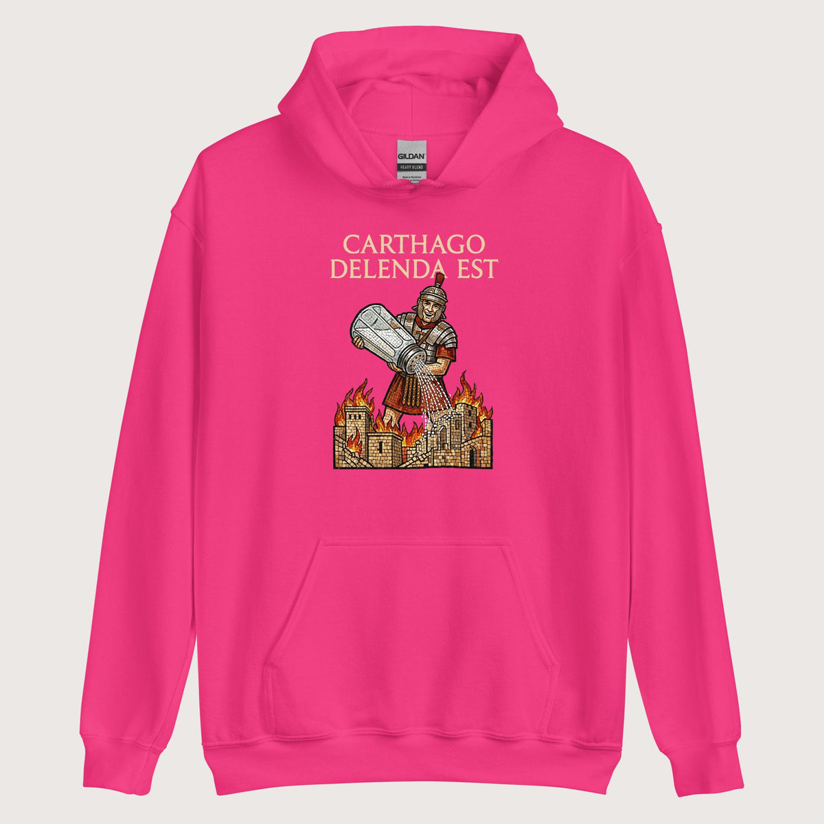 Heliconia Salting Carthage Hoodie - history buff gift by HistoHead