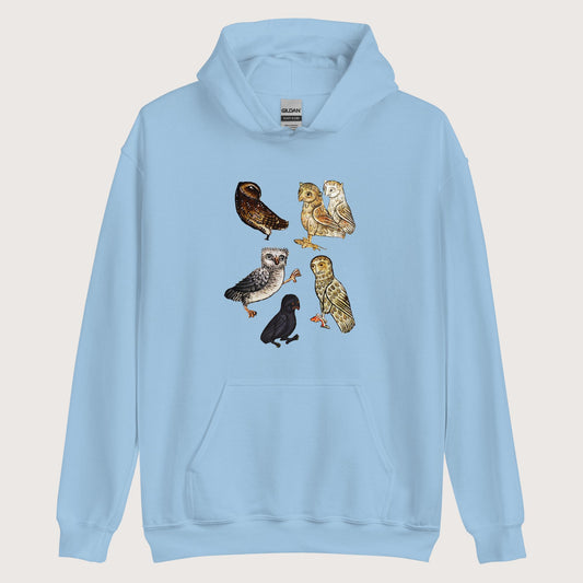 Light Blue Weird Medieval Owls Hoodie - history buff gift by HistoHead